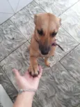 CaramelA