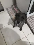 Sophia
