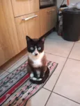George