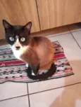 George