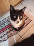 George