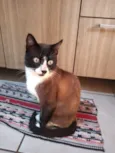 George