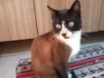 George