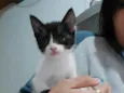 Menina