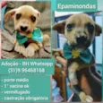 Epaminondas 