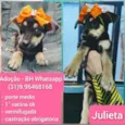 Julieta 