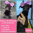 Joana