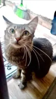 Miumiu uma linda !