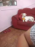 Mel