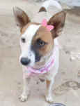 Linda