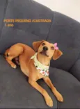 Cavau