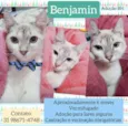 Benjamin