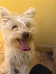 Lola