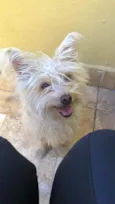 Lola