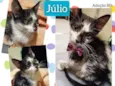 Júlio 