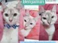 Benjamin