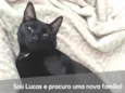 Lucas