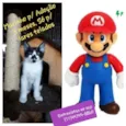 Marinho