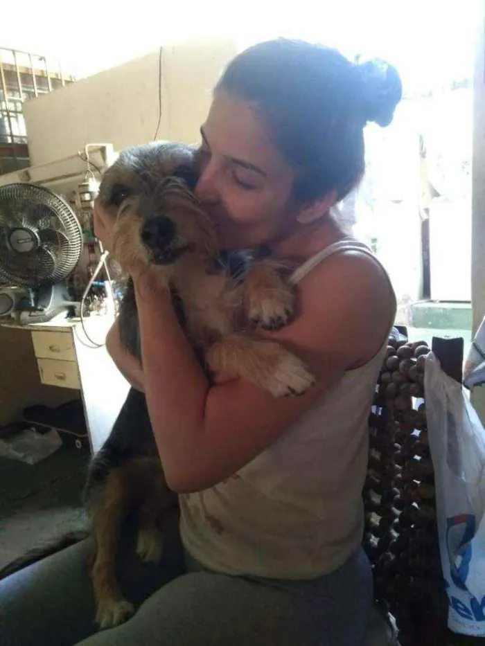 Cachorro raça Vira lata idade 6 ou mais anos nome Menina