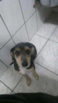 Menina