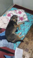 Menina