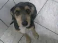 Menina