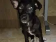 sem nome ainda