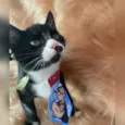Peter Parker