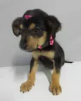 LÍz
