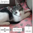 JORGINHO