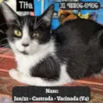 TITA