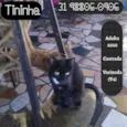 TININHA