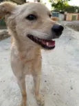 Lindão 