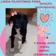 Linda