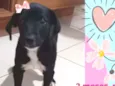 Linda