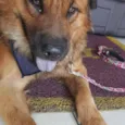 Max