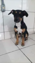 Charlie