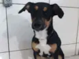 Charlie