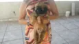 Ursinho