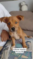 Aquiles e Armani