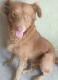 Herói