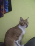 Juliano