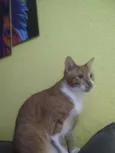 Juliano