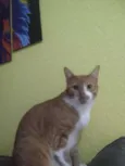 Juliano