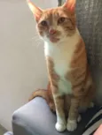 Juliano
