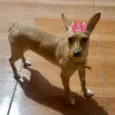 Valentina 
