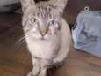 Rafa 