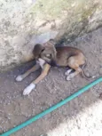 Ta sem nome