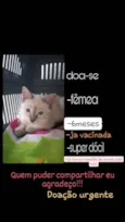 Luma