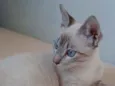 Hugo
